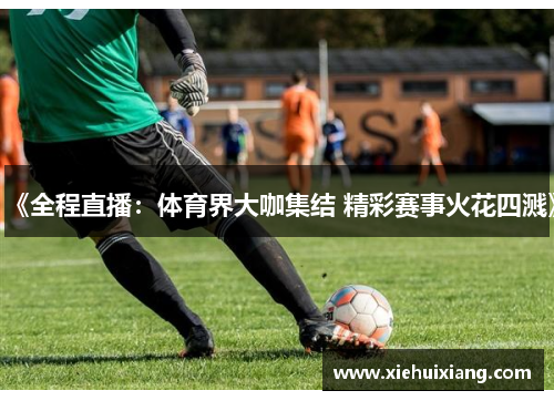 《全程直播：体育界大咖集结 精彩赛事火花四溅》